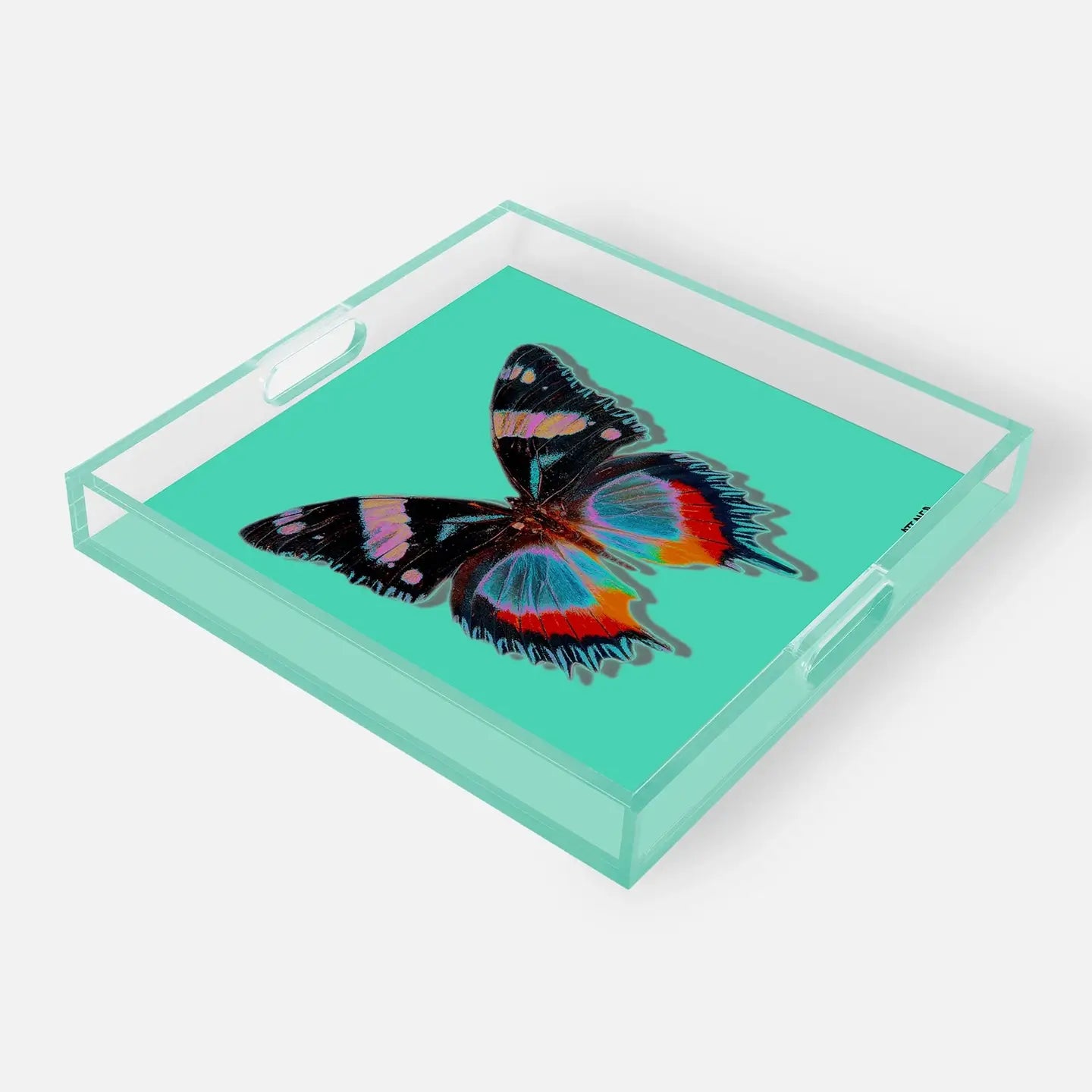 Aqua - Monarch Acrylic Tray