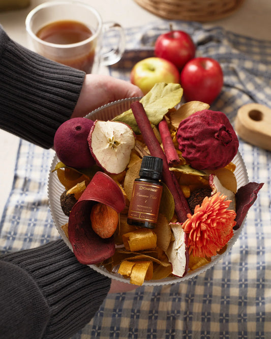 Cinnamon Cider - Large Decorative Fragrance (Potpourri)