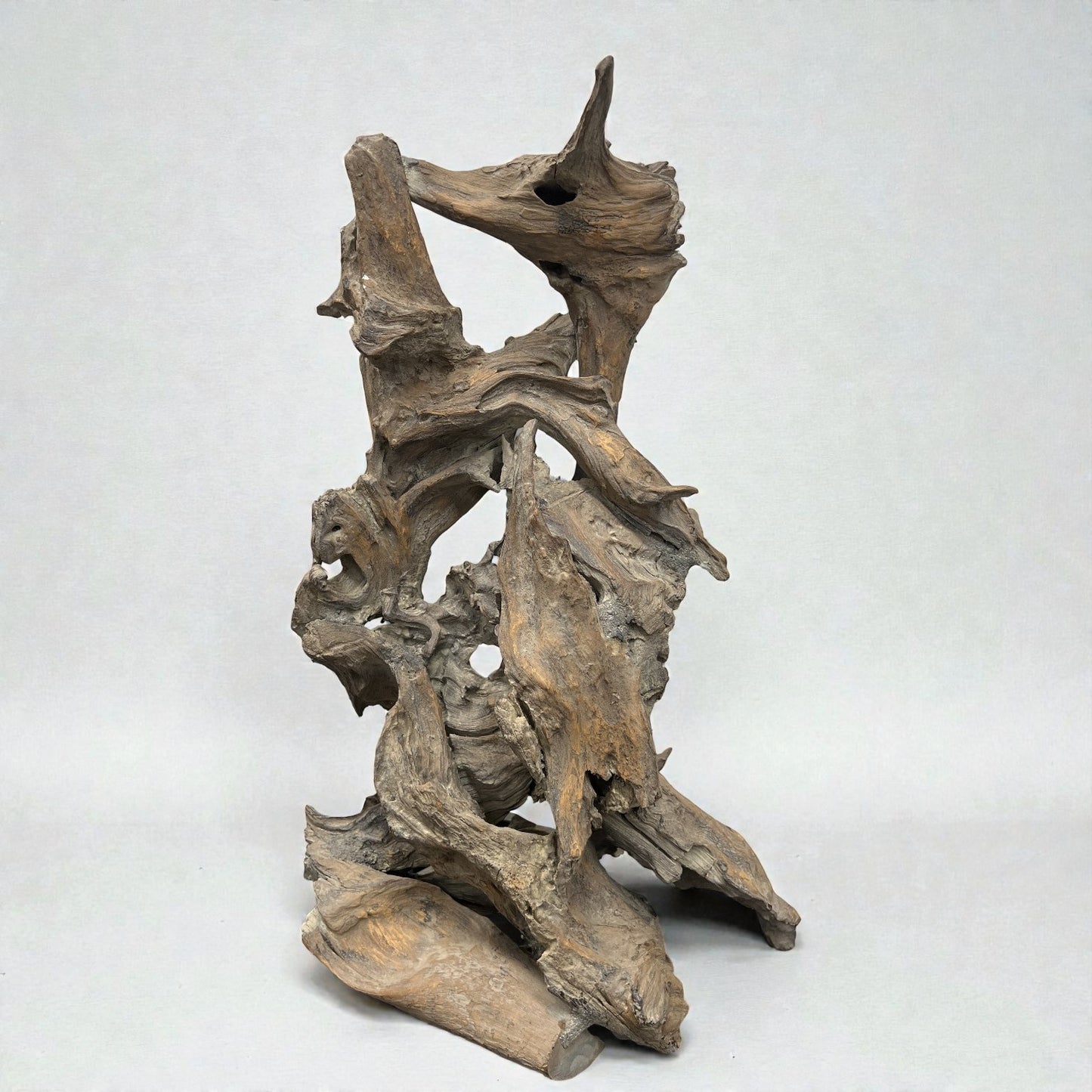 Driftwood Sculpture