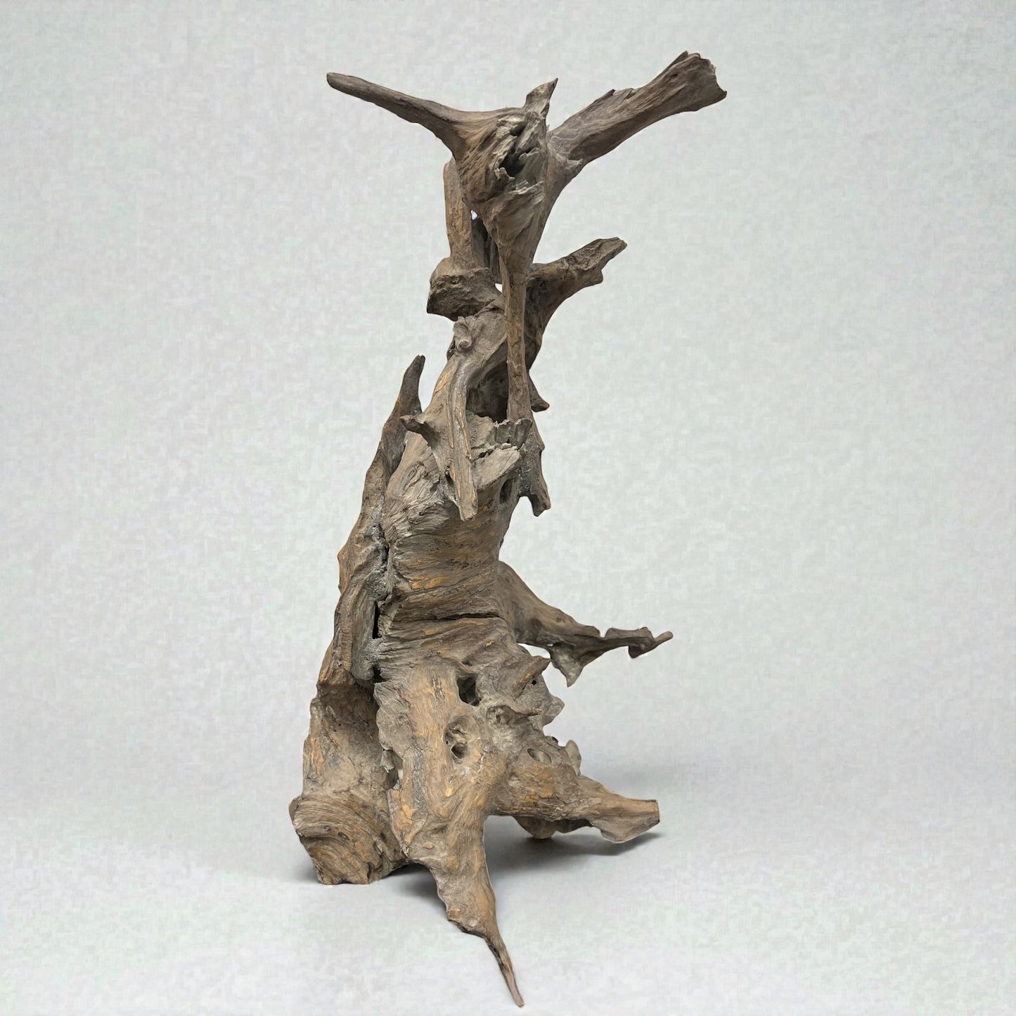 Driftwood Sculpture