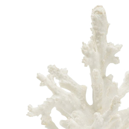 Coral Sculpture